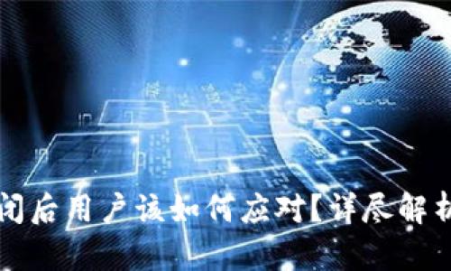 tpWallet倒闭后用户该如何应对?详尽解析与应对策略