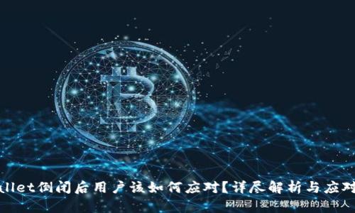 tpWallet倒闭后用户该如何应对?详尽解析与应对策略