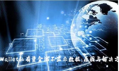 tpWallet私有资金池不显示数据:原因与解决方案