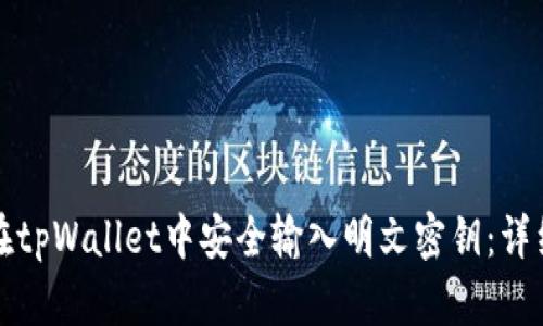 如何在tpWallet中安全输入明文密钥:详细指南