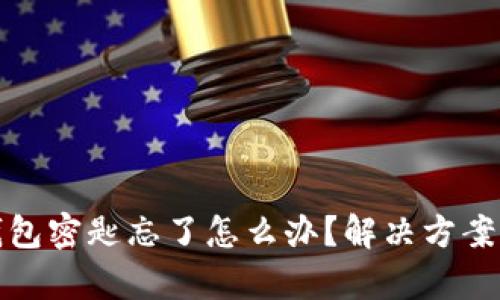 tpWallet钱包密匙忘了怎么办?解决方案与防范措施