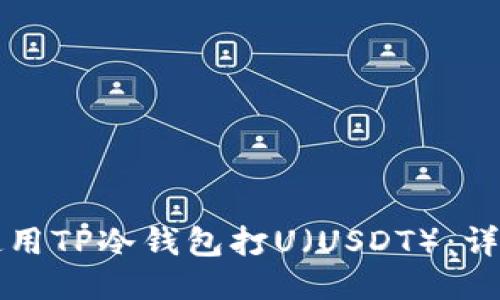 如何使用TP冷钱包打U（USDT）：详尽指南