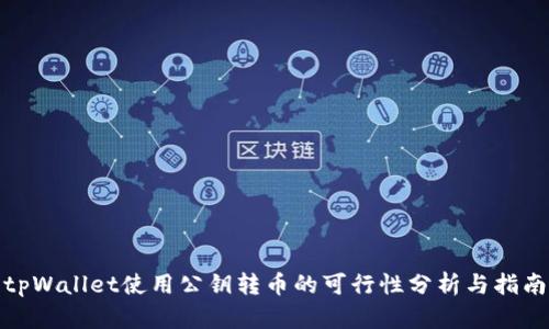 tpWallet使用公钥转币的可行性分析与指南