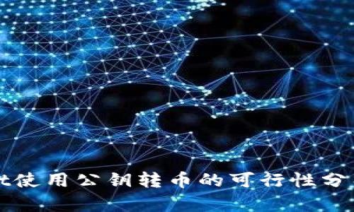 tpWallet使用公钥转币的可行性分析与指南