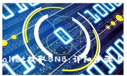 如何通过tpWallet提取BNB:详细步骤与常见问题解答