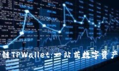 全面解析波场链TPWallet：一站式数字资