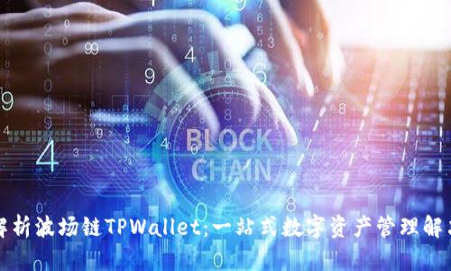 全面解析波场链TPWallet:一站式数字资产管理解决方案
