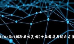 tpWallet删除能恢复吗？全面解析与解决
