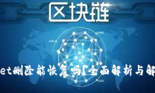 tpWallet删除能恢复吗?全面解析与解决方案