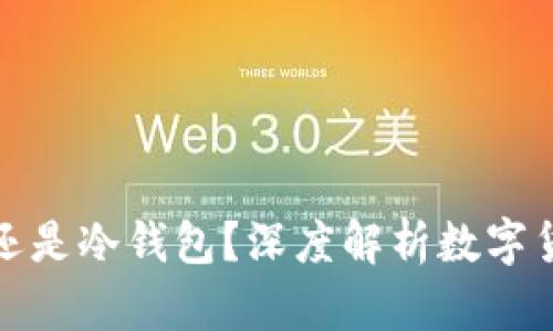 tp是热钱包还是冷钱包?深度解析数字货币存储方式