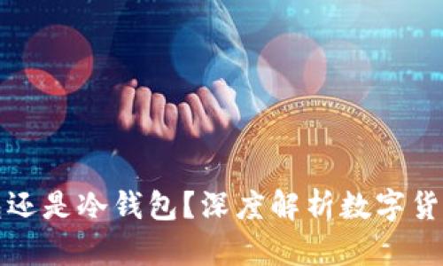tp是热钱包还是冷钱包?深度解析数字货币存储方式
