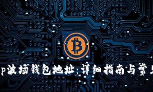 如何找到tp波场钱包地址：详细指南与常见问题解答