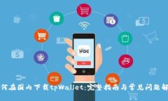 如何在国内下载tpWallet：完整指南与常见问题解答